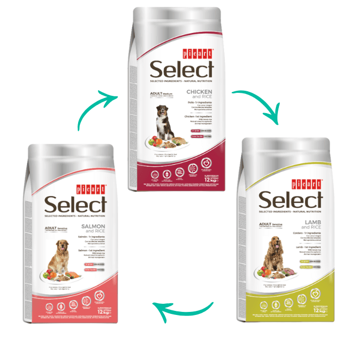 Picart Select Medium – UN SABOR DIFERENTE EN CADA ENVÍO